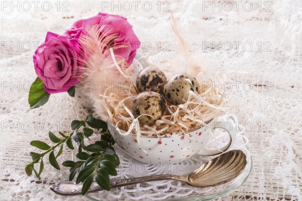 Quail's eggs