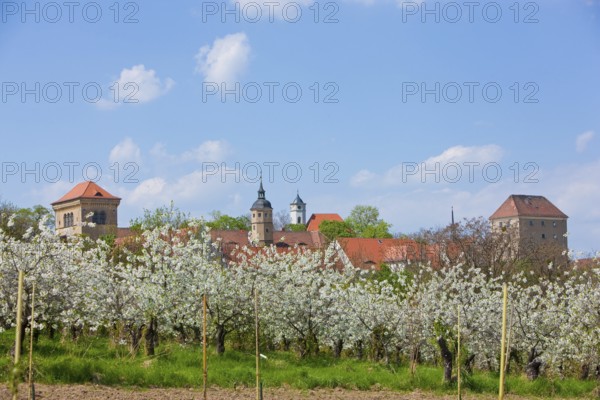 Gamig estate near Dresden