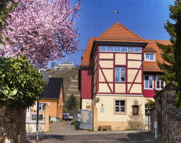 Radebeul Retzsch Haus Klaus Seifert, winery in Radebeul The estate has been in existence since 1649