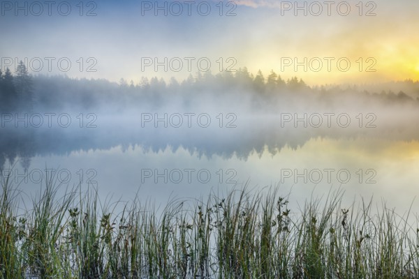 Atmospheric dawn with wafts of mist over the mirror-smooth moorland lake Étang de la Gruère in the