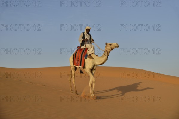 Man on camel, Meroë, Nubia, River Nile state, Sudan, Africa