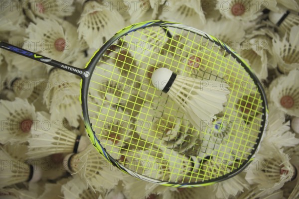 Badminton racket with shuttlecocks, pile, amount, number, much, sport, badminton, game ball, sports