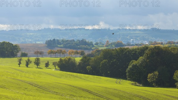 Autumnal field landscape near Possendorf in the Eastern Ore Mountains