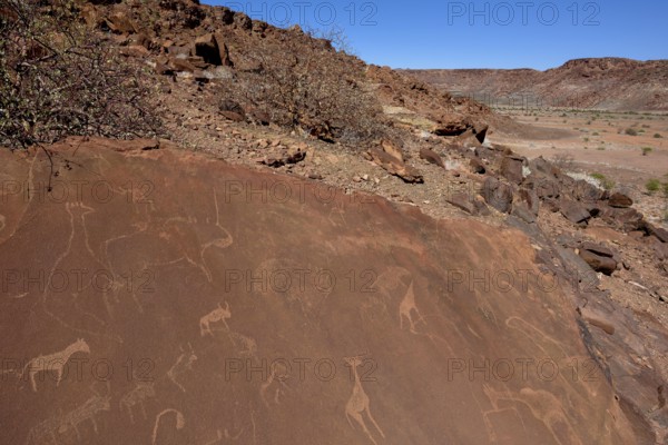Rock engravings, Twyfelfontein, Unesco World Heritage Site, Kunene Region, Namibia, Africa