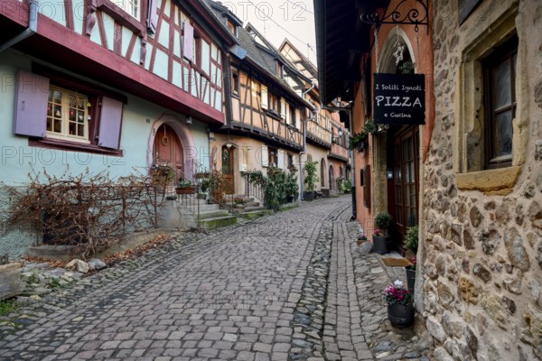 Half-timbered houses, Eguisheim, Département Haut-Rhin, Grand Est Region, Alsace, France, Europe