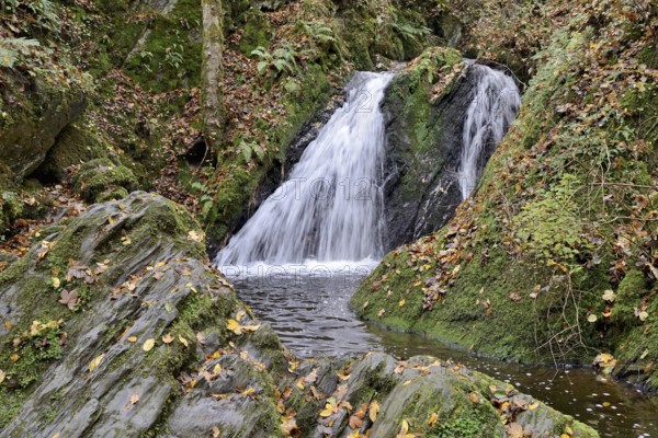 Waterfall in the wild Endert Valley, Moselle, Rhineland-Palatinate, Germany, Europe