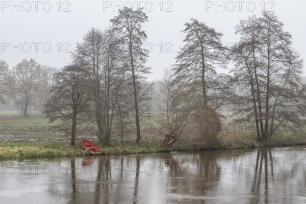 Boat under alders (Alnus glutinosa) in the fog by the water, Emsland, Lower Saxony, Germany, Europe
