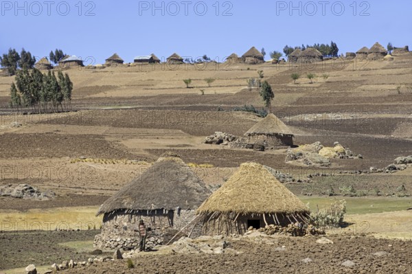 Farmer in front of traditional round stone huts with thatched roofs in the Ethiopian highlands,