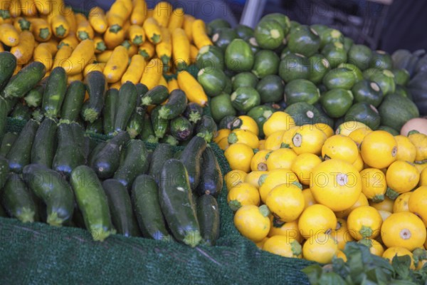 Freshly picked selections of organic vegetable varieties on display at the farmers market