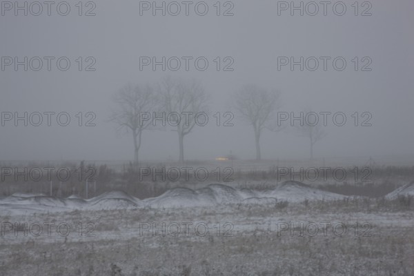 First snow in the Eastern Ore Mountains too