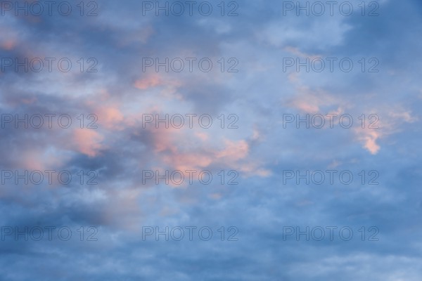 Pink-coloured fleecy clouds adorn the evening blue sky at sunset