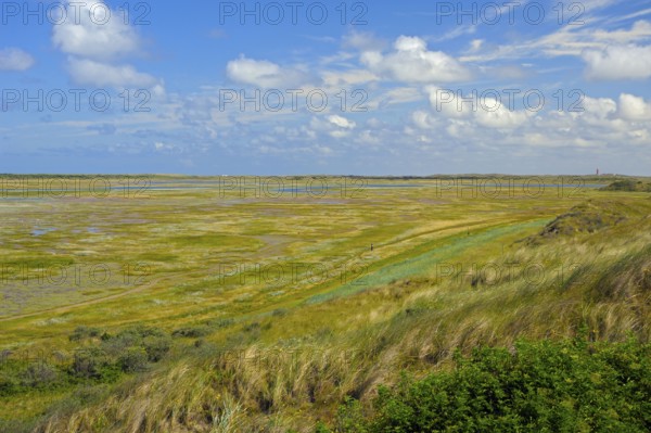 Nature reserve De Slufter, view from lookout dune, island Texel, North Sea, North Holland,