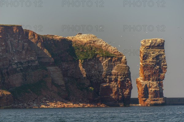 Red red sandstone cliff edge, Heligoland high sea island, Lange Anna, North Sea, blue sky,