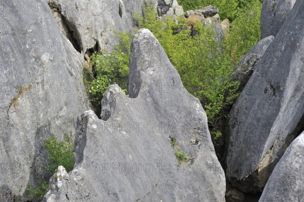 Eroded rocks of a gorge in the Fondry des Chiens nature reserve, a sinkhole near Nismes in