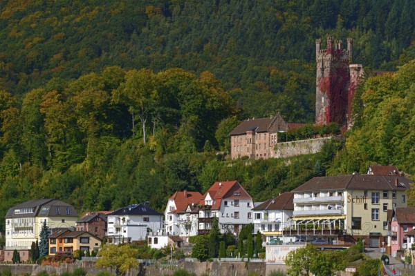 Mittelburg, Neckarsteinach, Vierburgenstadt, Baden-Württemberg, Germany, Europe