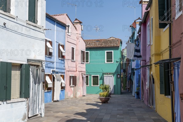Colourful houses, colourful facades, alleyways on the island of Burano, Venice, Veneto, Italy,
