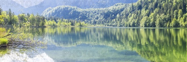 Schwansee, near Hohenschwangau, Romantic Road, Ostallgäu, Bavaria, Germany, Europe