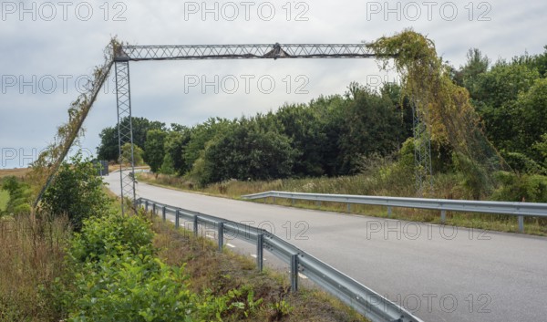 Bridge for an endangered species of hazel dormice (Muscardinus avellanarius) over a country road in