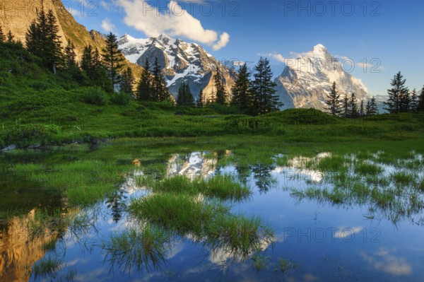 Eiger, Mönch, Bernese Oberland, Switzerland, Europe