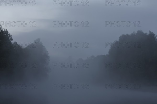 Foggy mood in the morning on the Upper Havel, Müritz National Park, Mecklenburg-Western Pomerania,