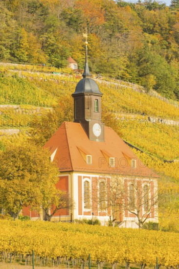 The Protestant vineyard church Zum Heiligen Geist is a baroque village church in the Pillnitz