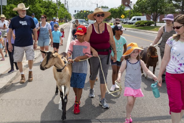 Wheat Ridge, Colorado, Accompanied by admiring children and adults, goats from 5 Fridges Farm