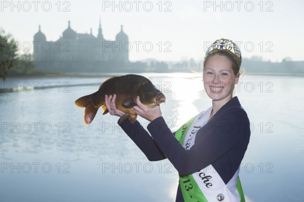 Fishing of the castle pond in Moritzburg