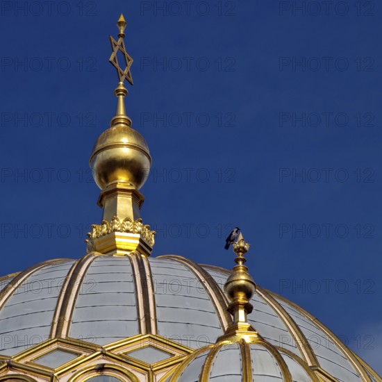 Tambour dome covered with gilded ribs, New Synagogue Berlin, detail, Germany, Europe