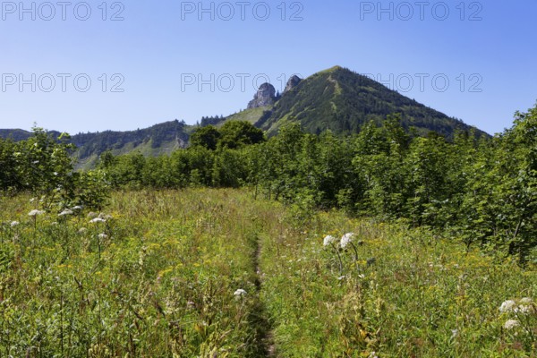 Mountain landscape, hiking trail from the Feichtensteinalm to the Regenspitz, Osterhorngruppe,
