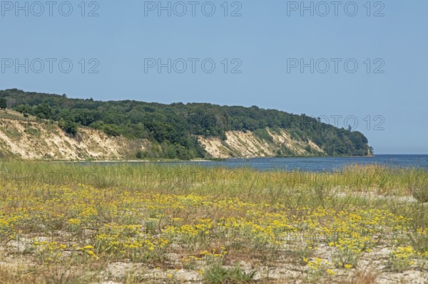 Nordperd, Göhren, Island of Rügen, Mecklenburg-Western Pomerania, Germany, Europe