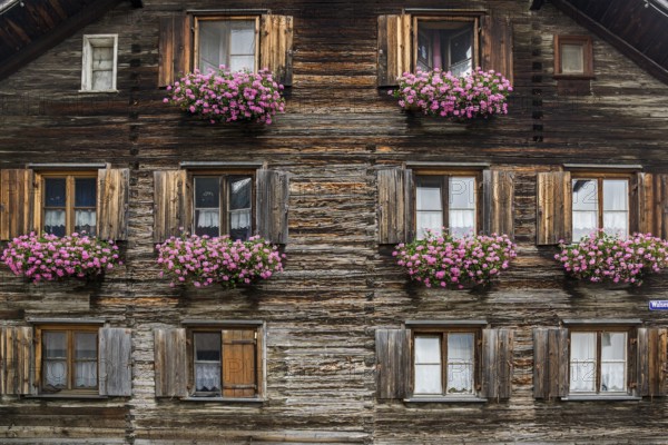 Old wooden house with geraniums in front of the windows in Zollstraße, Oberstdorf, Oberallgäu,