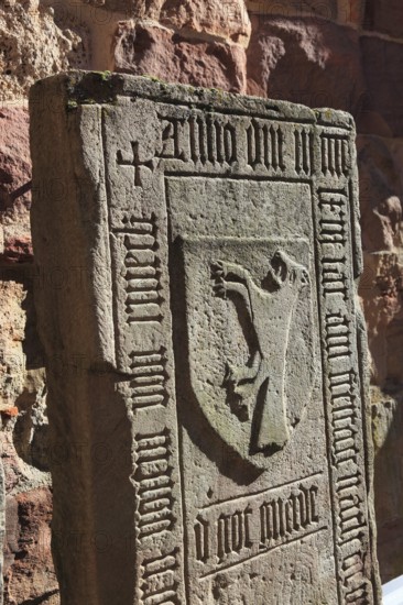 Gravestones in the Bibras Chapel in the ruins of St. Mary's Monastery Church, Veßra Monastery,