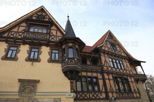 Henneberger Haus, Meiningen, Thuringia, Germany, Europe