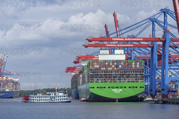 Container ships and excursion boat, paddle steamer Louisiana Star, container terminals Eurogate and
