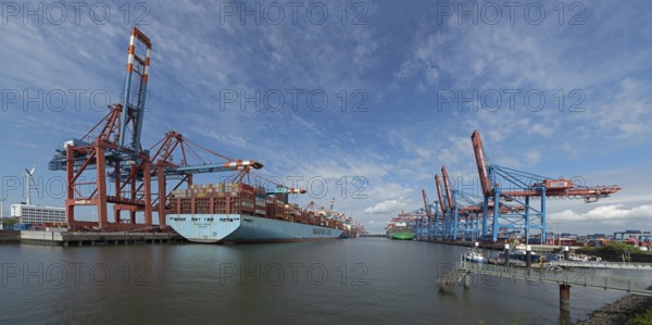Container terminals Eurogate and Burchardkai, Photomerge, Waltershof, Hamburg, Germany, Europe
