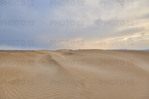 Beach "Platja del Fangar", sand dunes, Vegetation, nature reserve, ebro delta, Catalonia, Spain,