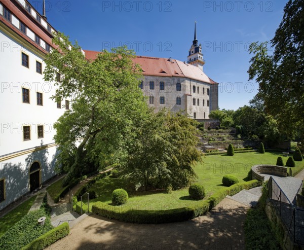 Rose Garden, Hartenfels Castle, Torgau, Saxony, Germany, Europe