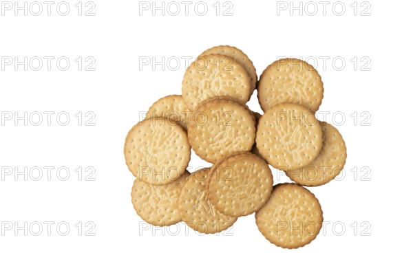Group of double biscuits on white, copy room