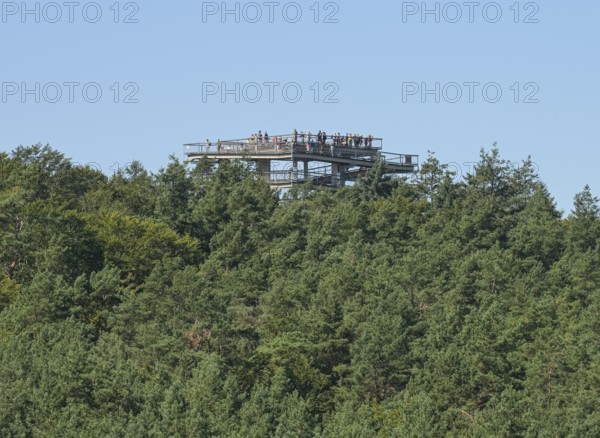 Treetop Walk viewing platform, Heringsdorf, Usedom, Mecklenburg-Western Pomerania, Germany, Europe