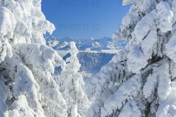 View from the Rigi, Glarus Alps, Switzerland, Europe