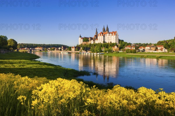 Meissen in the morning light