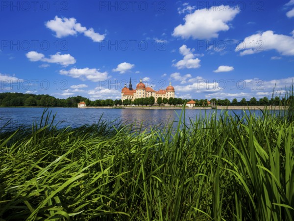 Moritzburg Baroque Palace