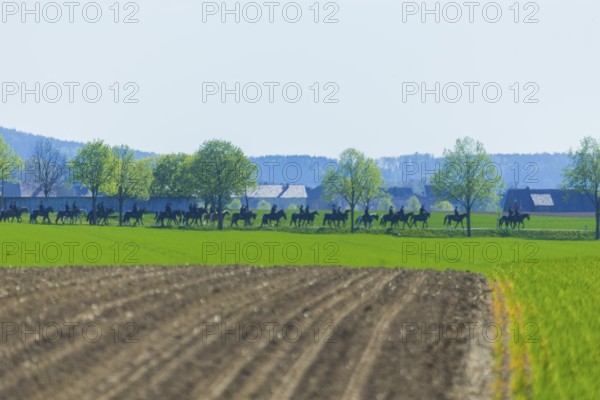 Every year at Easter there are about 5 processions in Lusatia, each with about 200 riders. The