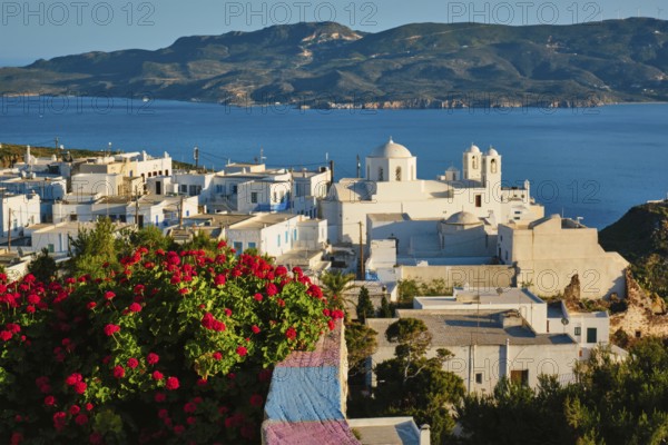 Picturesque scenic view of Greek town Plaka on Milos island over red geranium flowers. Plaka