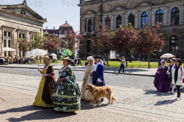 Return of the oranges from their winter quarters to the Dresden Zwinger