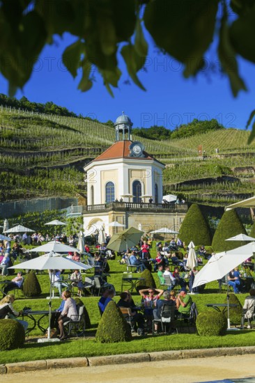 Winery Wackerbarth Castle