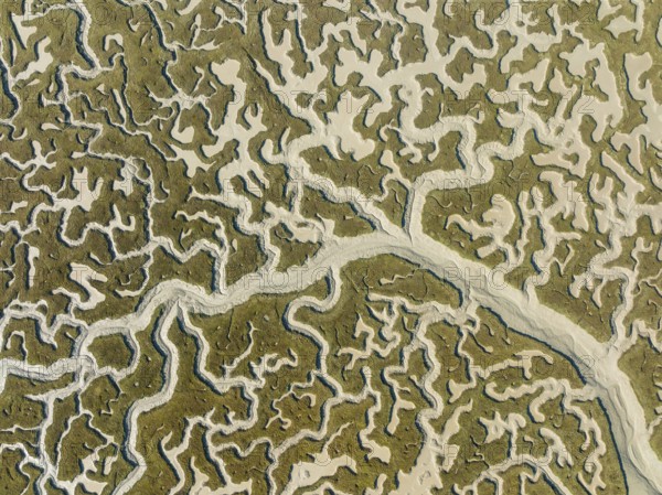 Network of dry channels and streams at low tide, in the marshland of the Bahía de Cádiz, aerial