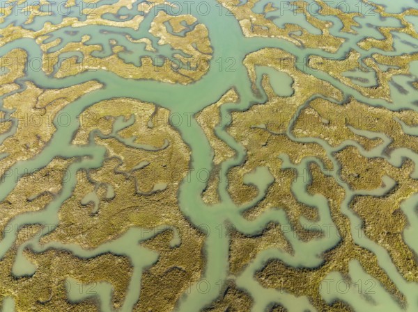 Network of channels and streams at low tide, in the marshland of the Bahía de Cádiz, aerial view,