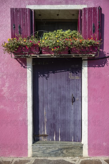 Front door and window with flowers and pink shutters, detail of a house facade, colourful houses on