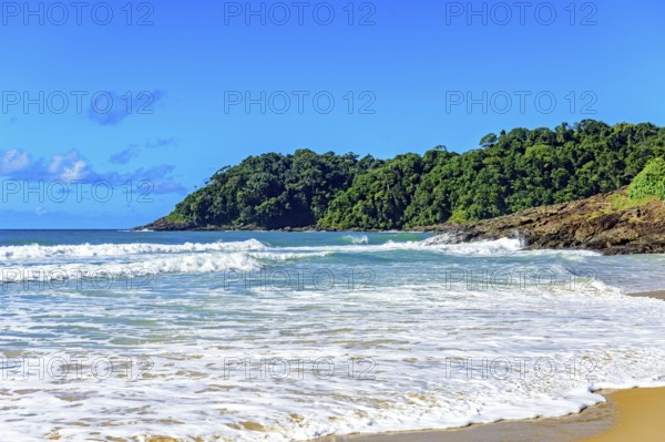 Tiririca beach with its waves and rainforest in the city of Itacare on the coast of Bahia